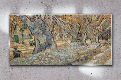 Tree-lined street in the spring sun Wall art on glass