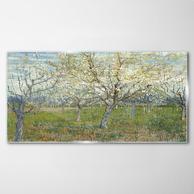 Flowering trees in the spring sun Glass art print