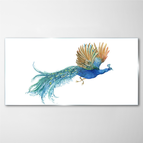 Colorful peacock in motion Glass art print