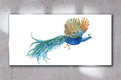 Colorful peacock in motion Glass art print