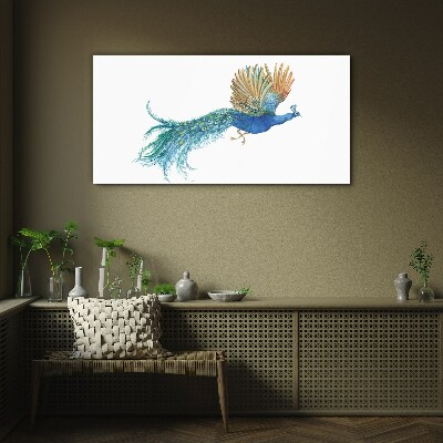 Colorful peacock in motion Glass art print