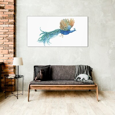 Colorful peacock in motion Glass art print