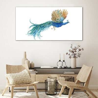 Colorful peacock in motion Glass art print