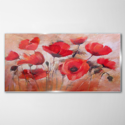 Red poppies on a pastel background Glass art print