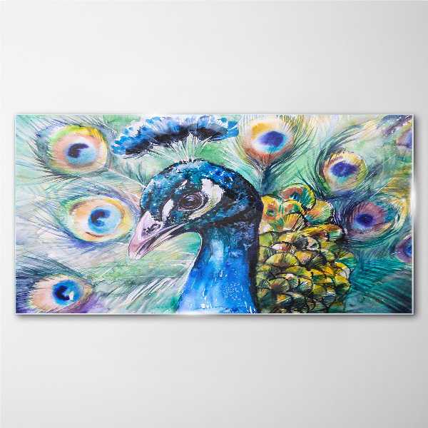 Colorful peacock among feathers Glass art print