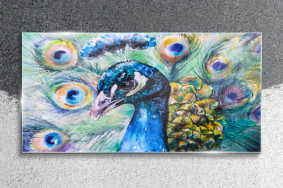 Colorful peacock among feathers Glass art print