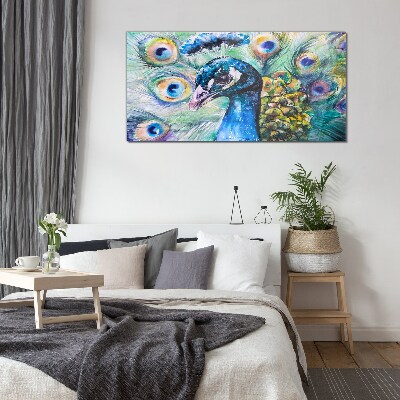 Colorful peacock among feathers Glass art print