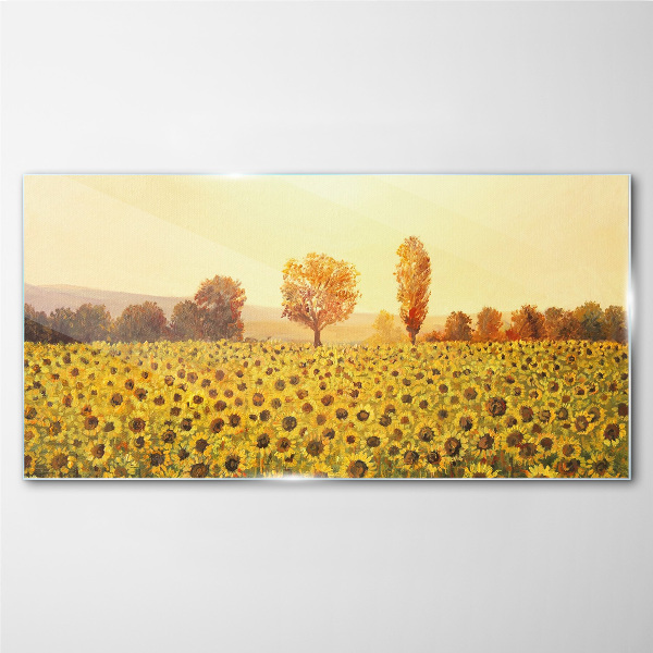 Sunflower field in the setting sun Wall art on glass