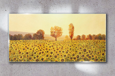 Sunflower field in the setting sun Wall art on glass