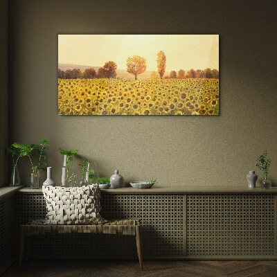 Sunflower field in the setting sun Wall art on glass