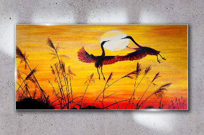 Animals birds sunset Glass Wall Art
