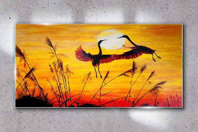 Dancing cranes at sunset Glass art print