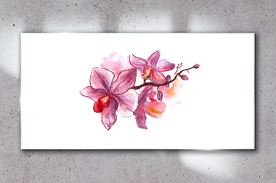Pink orchids on white background Wall art on glass