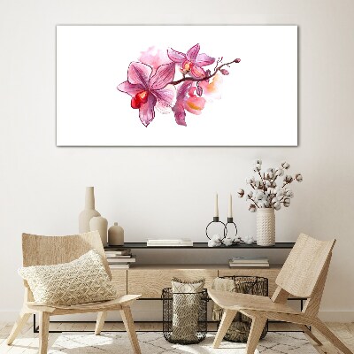 Pink orchids on white background Wall art on glass