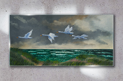 Sea sky birds swans Glass Wall Art