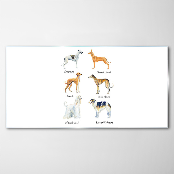 Breeds of dogs of the chrts Glass art print