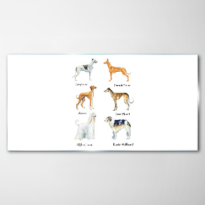 Breeds of dogs of the chrts Glass art print