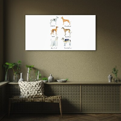 Breeds of dogs of the chrts Glass art print