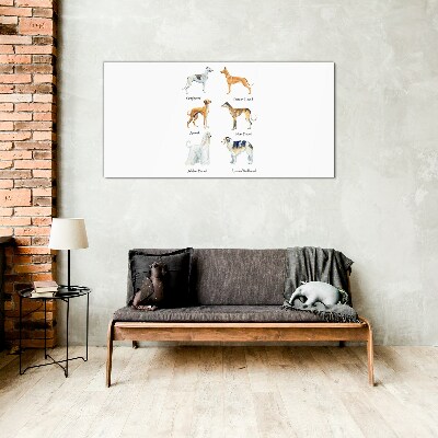 Breeds of dogs of the chrts Glass art print