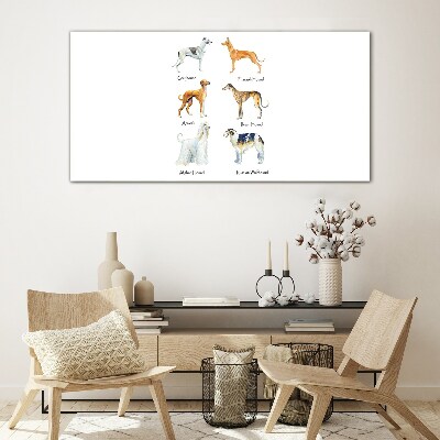 Breeds of dogs of the chrts Glass art print