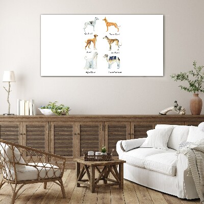 Breeds of dogs of the chrts Glass art print