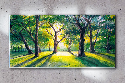 Golden rays in the forest grove Glass art print