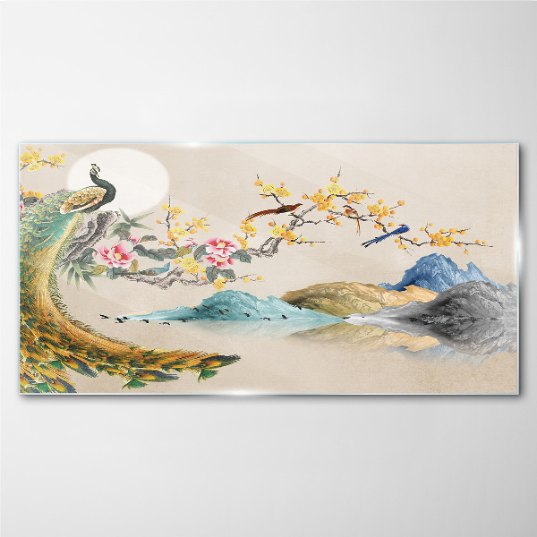 Peacock in Blooming Landscape Glass art print