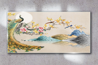 Peacock in Blooming Landscape Glass art print