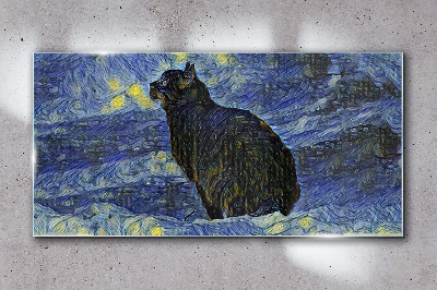 Cat in the night sky Glass art print