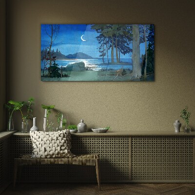 Night landscape over the water Glass art print