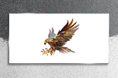 Golden falcon in flight Glass art print
