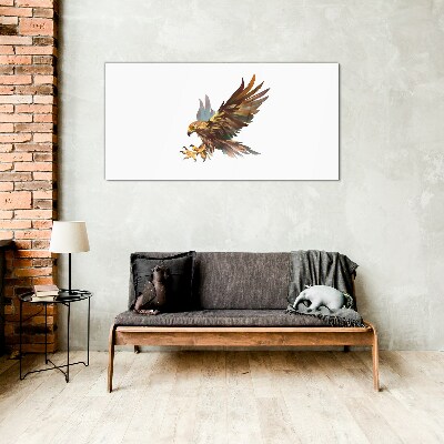 Golden falcon in flight Glass art print
