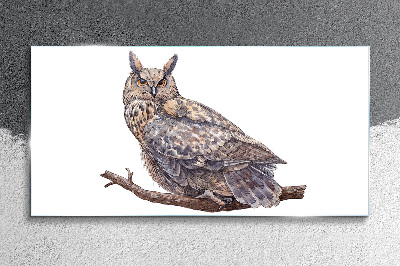 Owl on a branch Glass art print