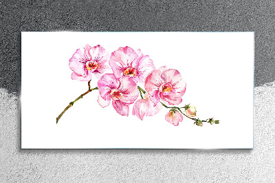 Pink orchids on a white background Glass art print