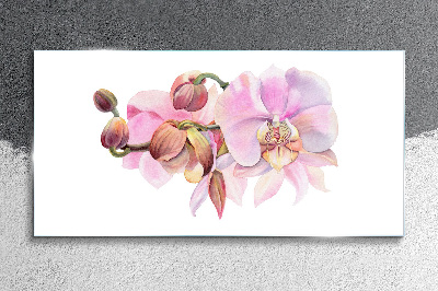 Orchid in pastel shades Glass art print