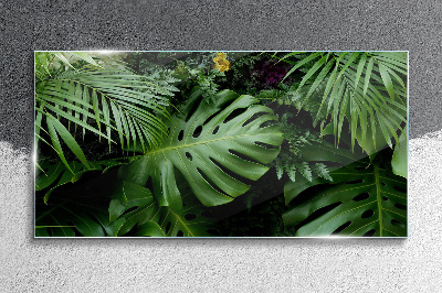 Tropical greenery in the depths of nature Glass art print