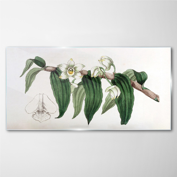 Figure orchid flower branch Glass Wall Art