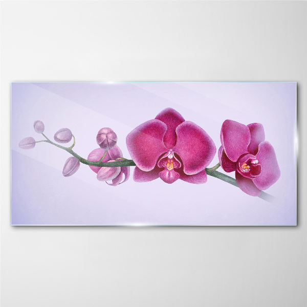 Orchids in delicate shades of pink Wall art on glass