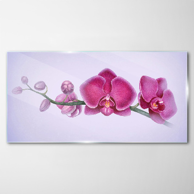 Orchids in delicate shades of pink Wall art on glass