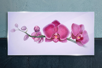 Orchids in delicate shades of pink Wall art on glass
