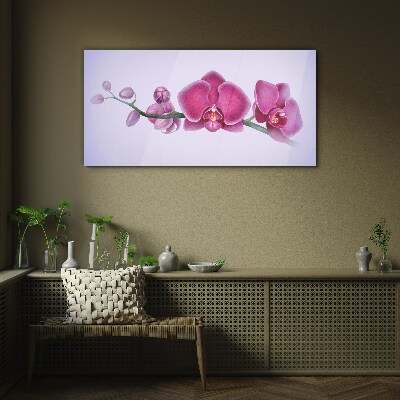 Orchids in delicate shades of pink Wall art on glass