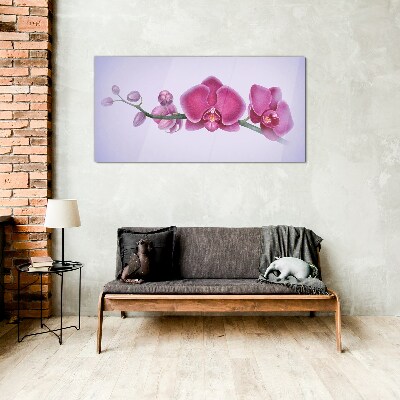Orchids in delicate shades of pink Wall art on glass