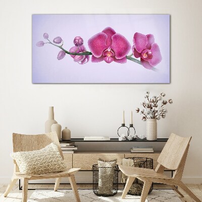 Orchids in delicate shades of pink Wall art on glass