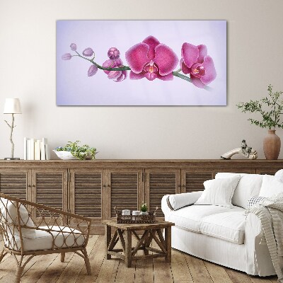 Orchids in delicate shades of pink Wall art on glass