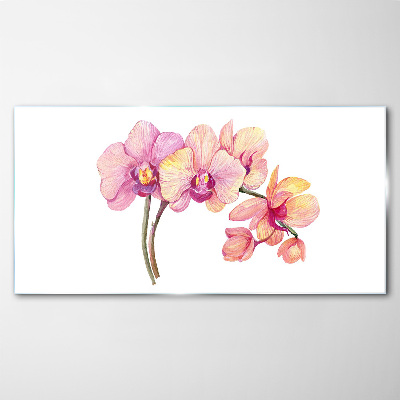 The floral beauty of orchids Glass art print