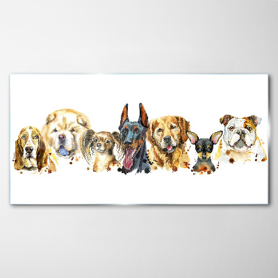 Dog friendships in colors Wall art on glass