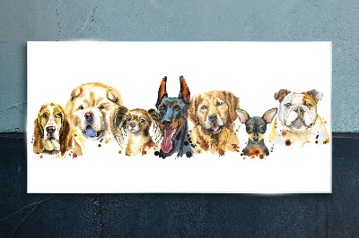Dog friendships in colors Wall art on glass