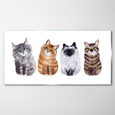 Cats in different shades Glass art print