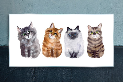 Cats in different shades Glass art print