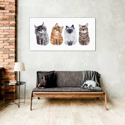 Cats in different shades Glass art print